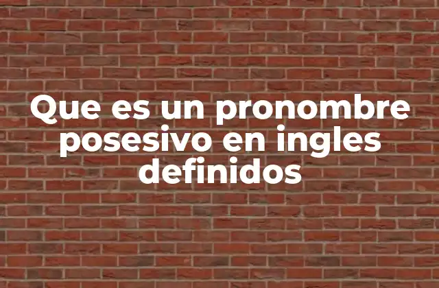 Que es un Pronombre Posesivo en Ingles Definidos