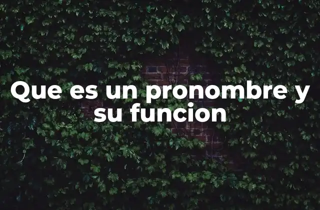 Que es un Pronombre y Su Funcion