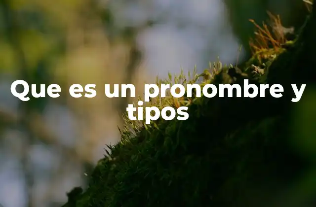 Que es un Pronombre y Tipos