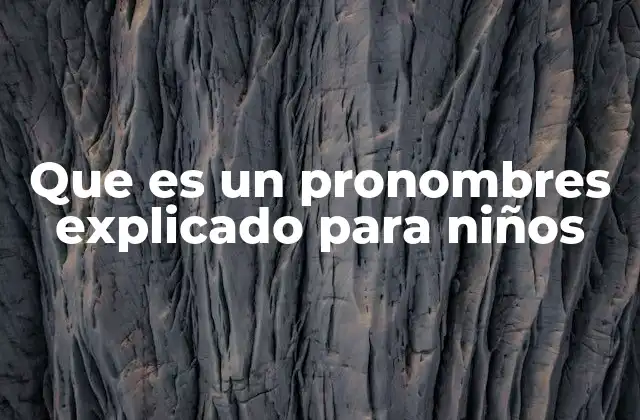 Que es un Pronombres Explicado para Niños