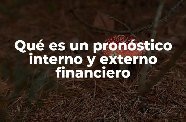 Qué es un Pronóstico Interno y Externo Financiero