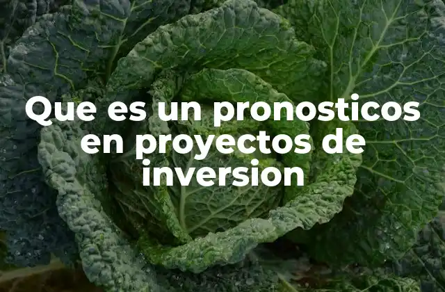 Que es un Pronosticos en Proyectos de Inversion