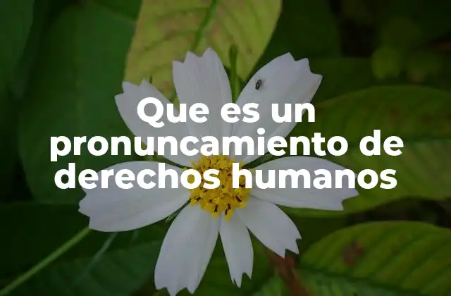 Que es un Pronuncamiento de Derechos Humanos