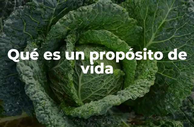 Qué es un Propósito de Vida