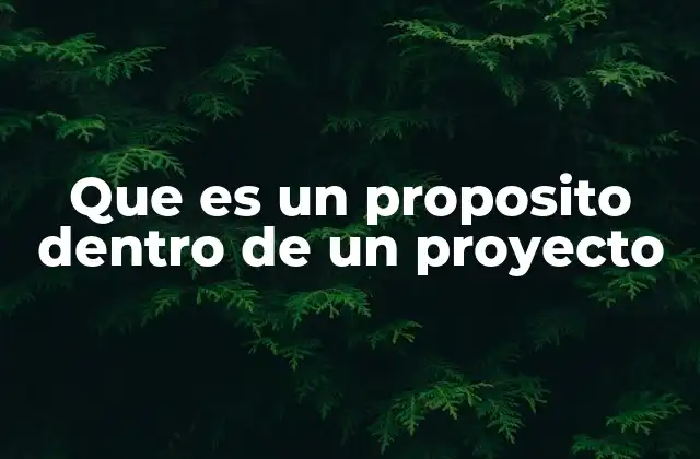 Que es un Proposito Dentro de un Proyecto