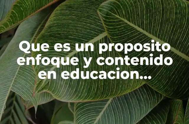 Que es un Proposito Enfoque y Contenido en Educacion Preescolar