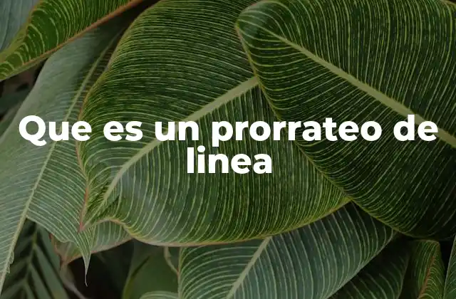 Que es un Prorrateo de Linea 2 La importancia del prorrateo en la contabilidad