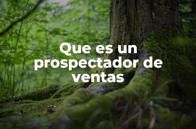 Que es un Prospectador de Ventas