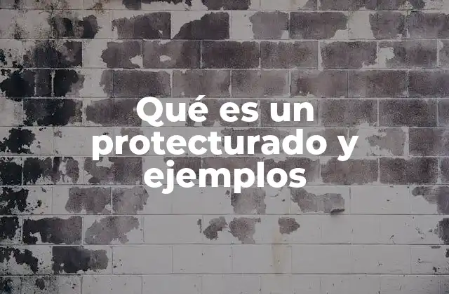 Qué es un Protecturado y Ejemplos