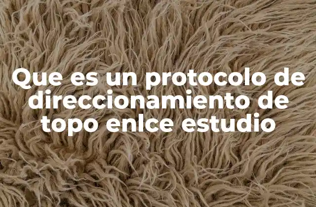 Que es un Protocolo de Direccionamiento de Topo Enlce Estudio