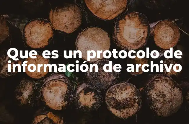 Que es un Protocolo de Información de Archivo