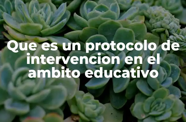 Que es un Protocolo de Intervencion en el Ambito Educativo
