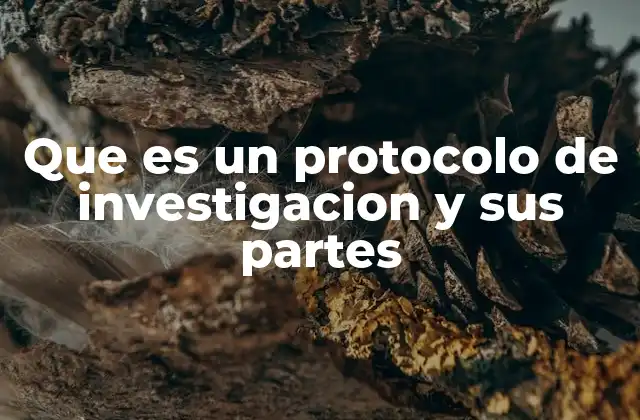 Que es un Protocolo de Investigacion y Sus Partes