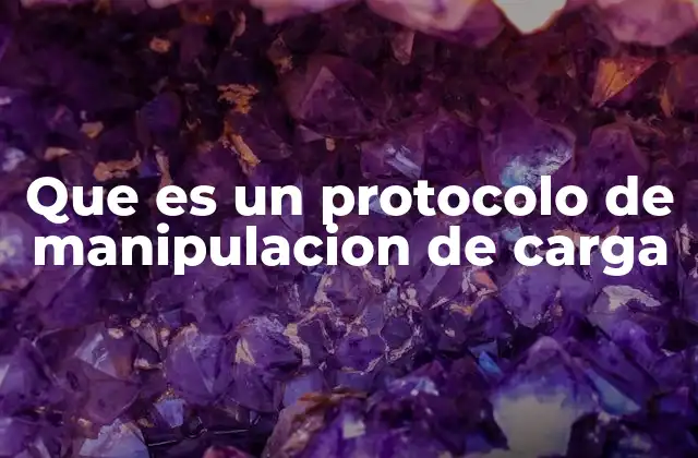 Que es un Protocolo de Manipulacion de Carga