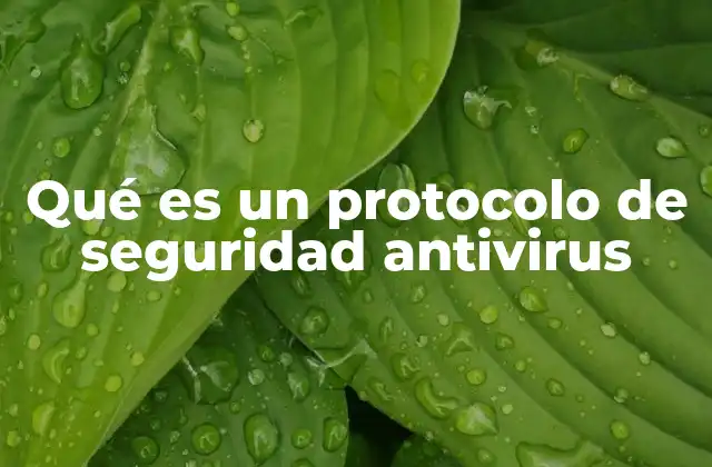 La importancia de los protocolos en la ciberseguridad
