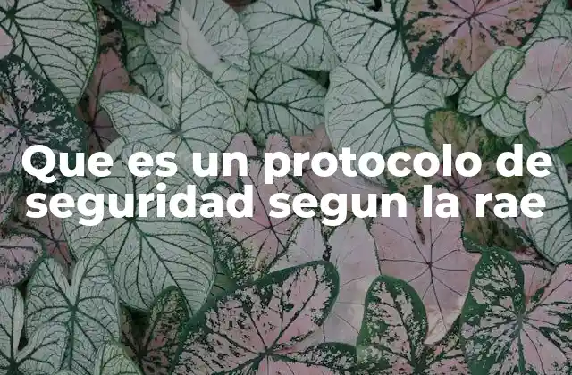 Que es un Protocolo de Seguridad Segun la Rae