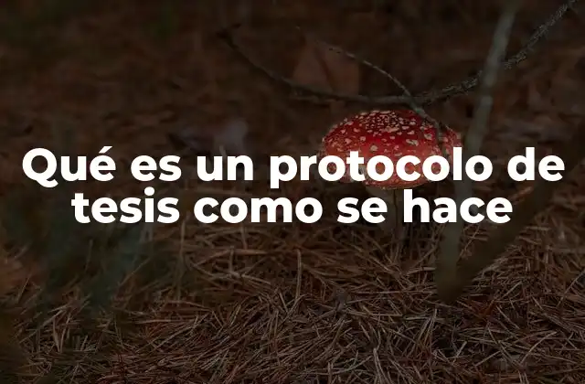Qué es un Protocolo de Tesis como Se Hace