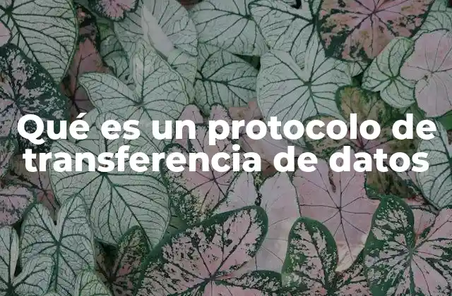 Qué es un Protocolo de Transferencia de Datos