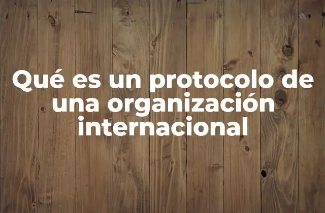 Qué es un Protocolo de una Organización Internacional