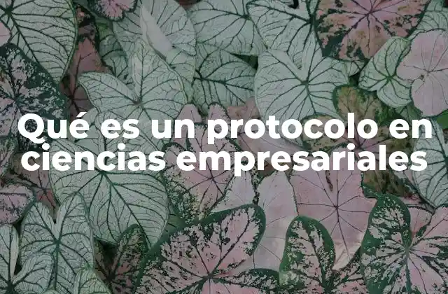 Qué es un Protocolo en Ciencias Empresariales