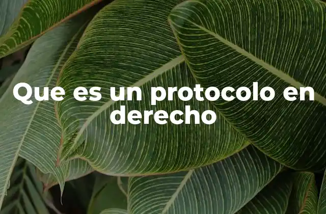 Que es un Protocolo en Derecho