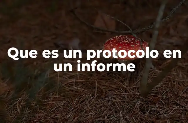 Que es un Protocolo en un Informe