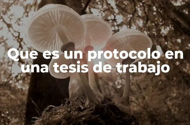 Que es un Protocolo en una Tesis de Trabajo