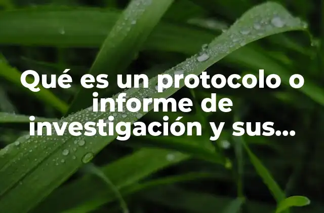Qué es un Protocolo o Informe de Investigación y Sus Características