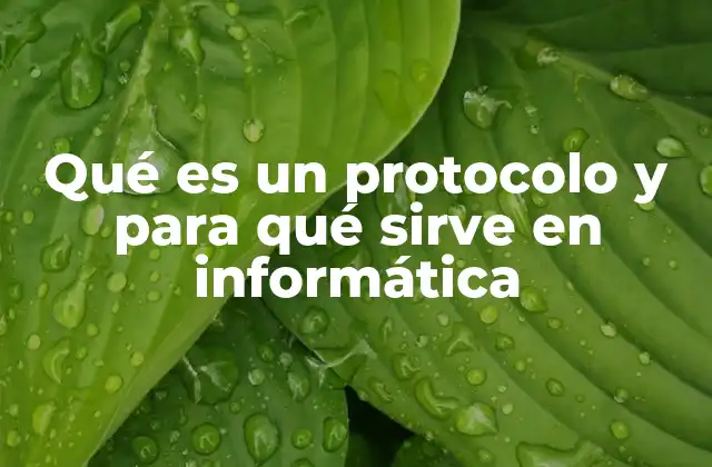 Qué es un Protocolo y para Qué Sirve en Informática