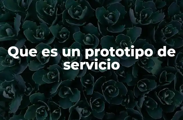 Que es un Prototipo de Servicio
