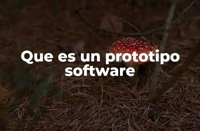 Que es un Prototipo Software