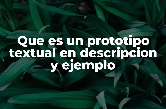 Que es un Prototipo Textual en Descripcion y Ejemplo