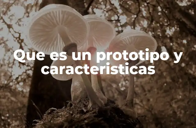 Que es un Prototipo y Caracteristicas