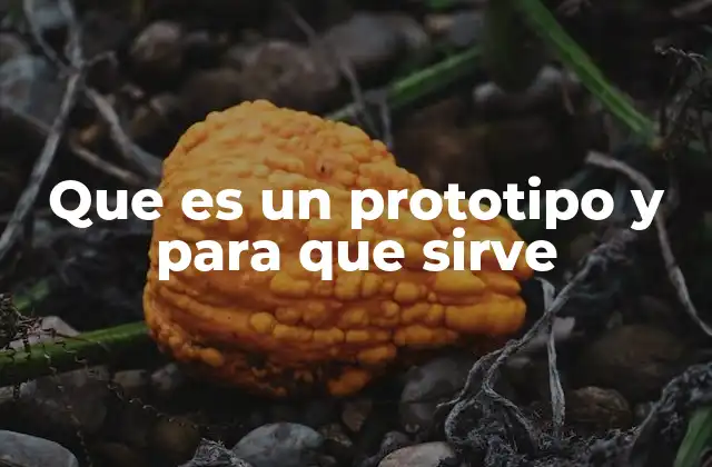 Que es un Prototipo y para que Sirve