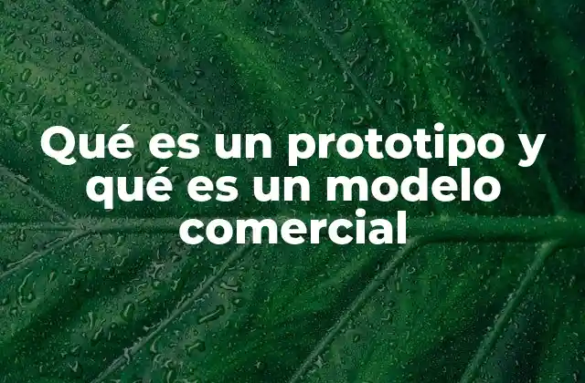 Qué es un Prototipo y Qué es un Modelo Comercial
