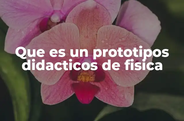 Que es un Prototipos Didacticos de Fisica