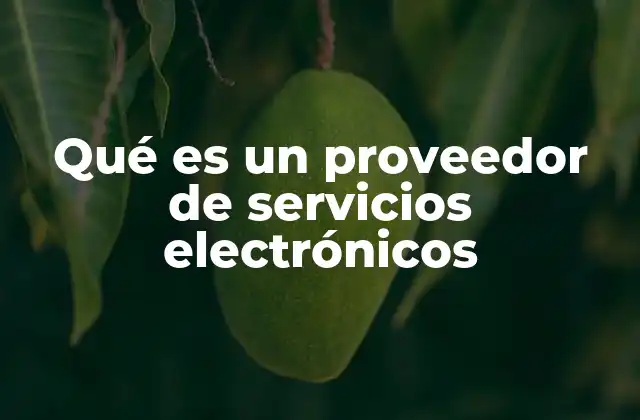 Qué es un Proveedor de Servicios Electrónicos