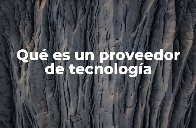 Qué es un Proveedor de Tecnología