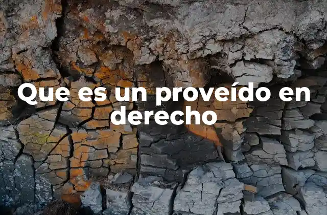 Que es un Proveído en Derecho