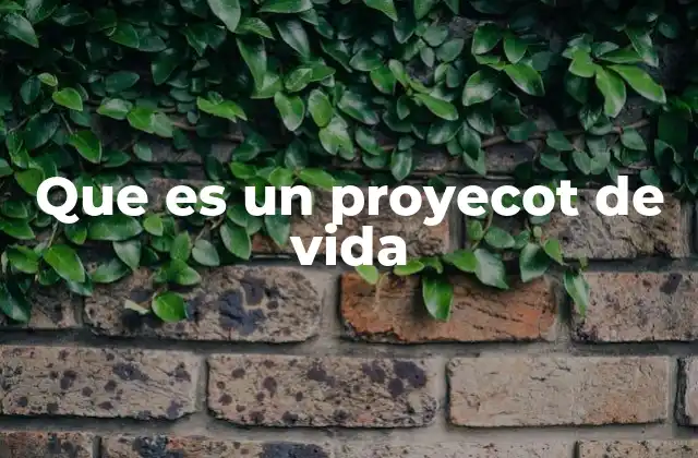 Que es un Proyecot de Vida