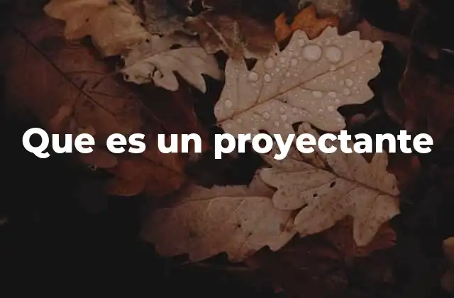 Que es un Proyectante