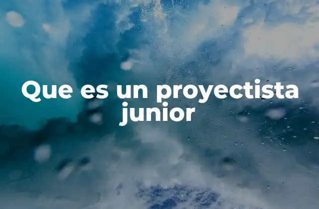 El rol del proyectista junior en el entorno laboral