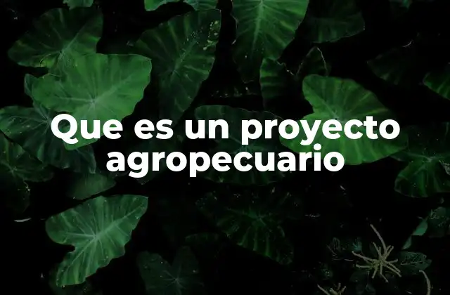 Que es un Proyecto Agropecuario