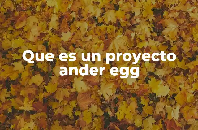 Que es un Proyecto Ander Egg