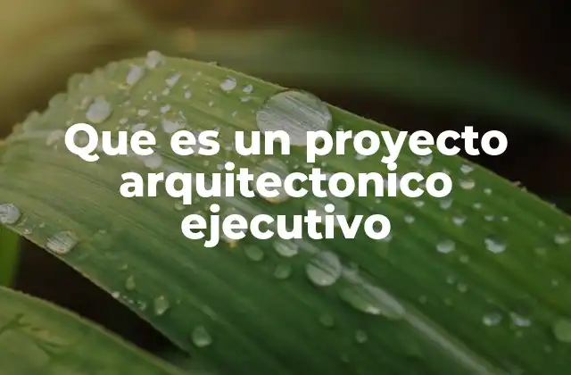 Que es un Proyecto Arquitectonico Ejecutivo