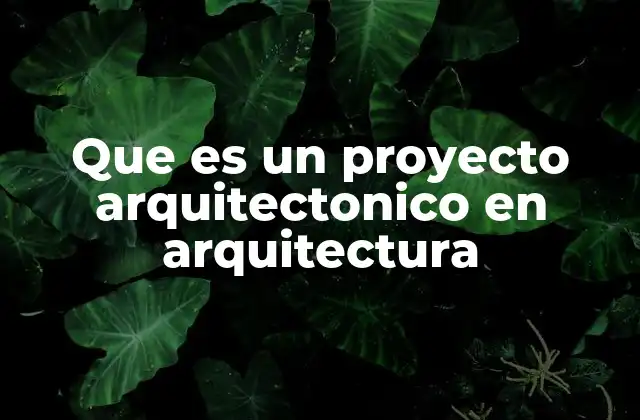 Que es un Proyecto Arquitectonico en Arquitectura