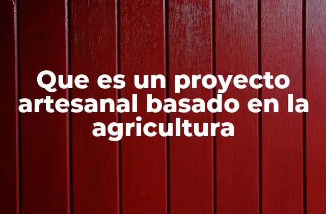 Que es un Proyecto Artesanal Basado en la Agricultura
