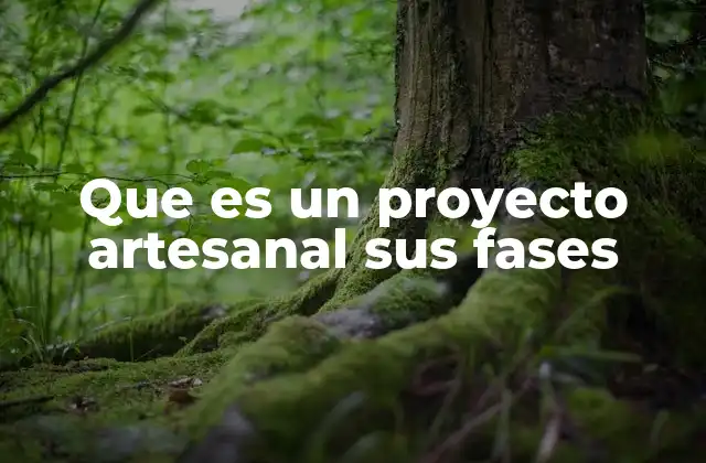 Que es un Proyecto Artesanal Sus Fases