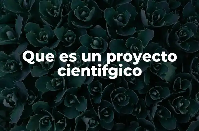 Que es un Proyecto Cientifgico