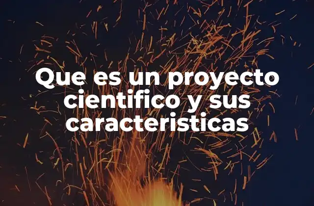Que es un Proyecto Cientifico y Sus Caracteristicas 2 La importancia del enfoque estructurado en la investigación científica